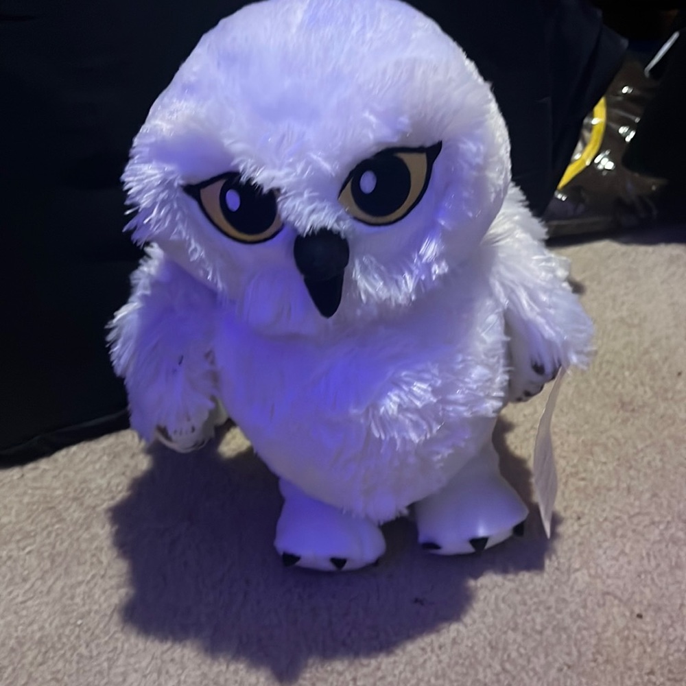 Harry Potter Hedwig
